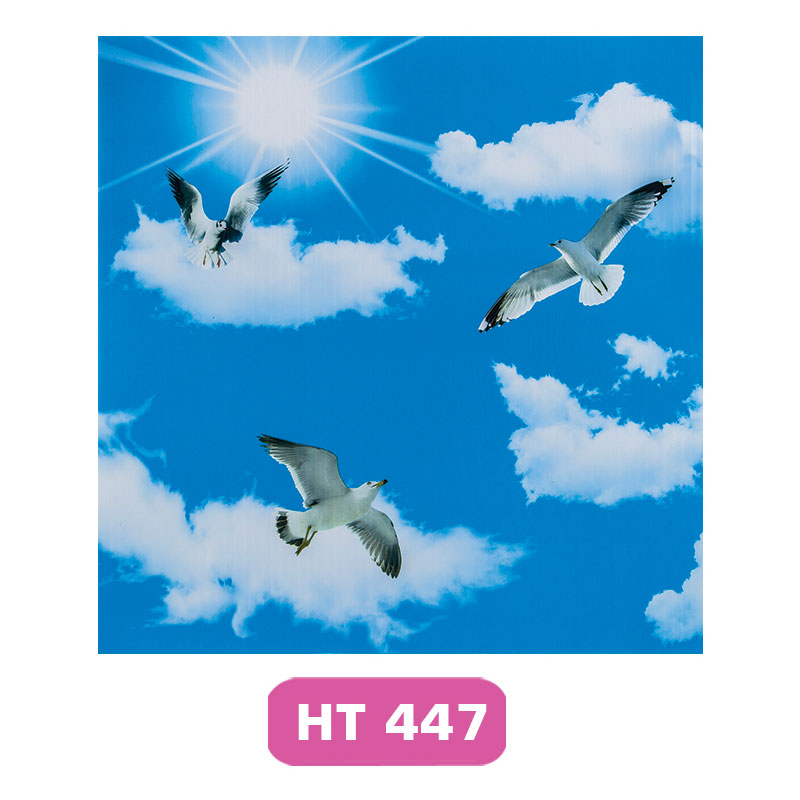 ht447