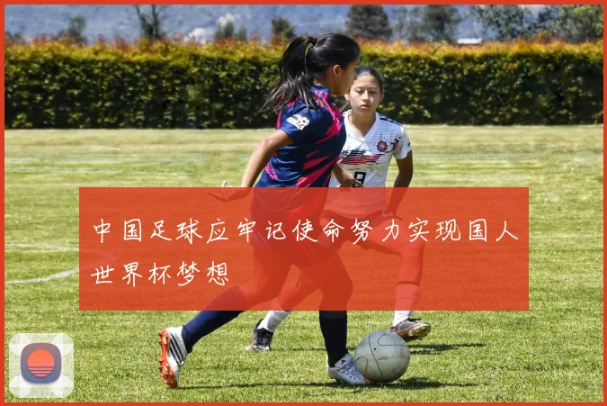 中国足球应牢记使命努力实现国人世界杯梦想
