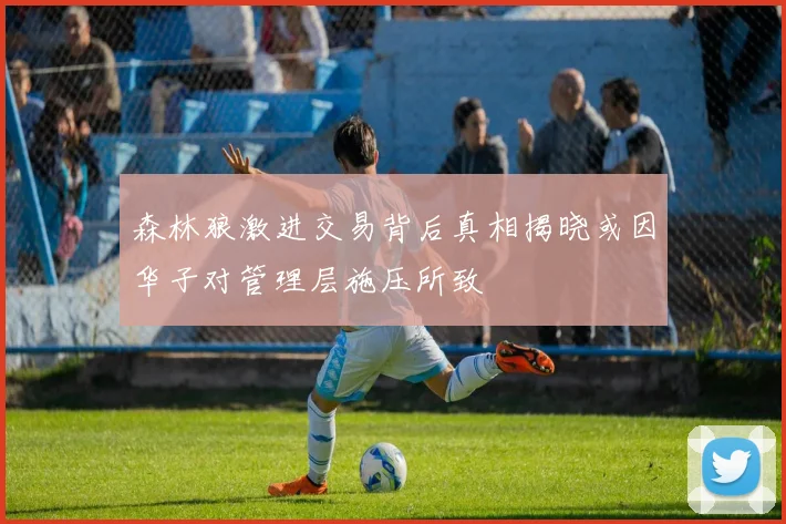 森林狼激进交易背后真相揭晓或因华子对管理层施压所致