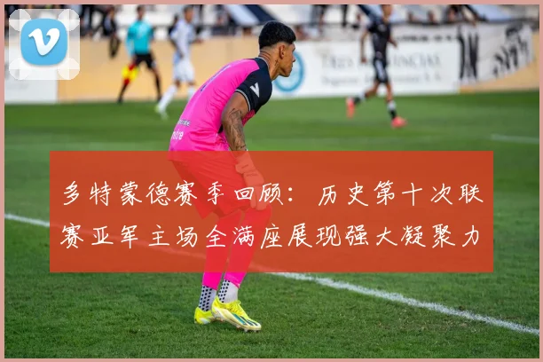 多特蒙德赛季回顾：历史第十次联赛亚军主场全满座展现强大凝聚力
