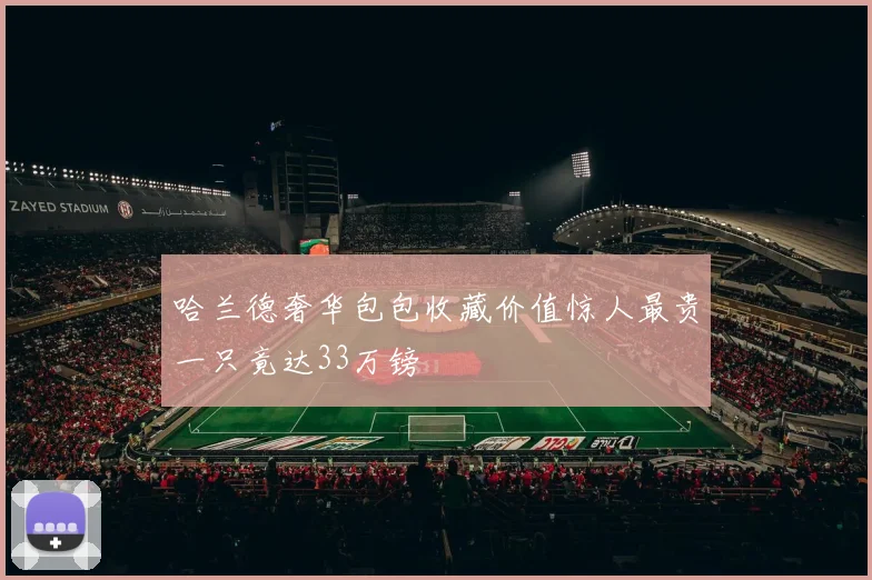 哈兰德奢华包包收藏价值惊人最贵一只竟达33万镑