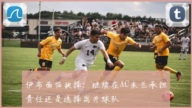 伊布面临抉择：继续在AC米兰承担责任还是选择离开球队